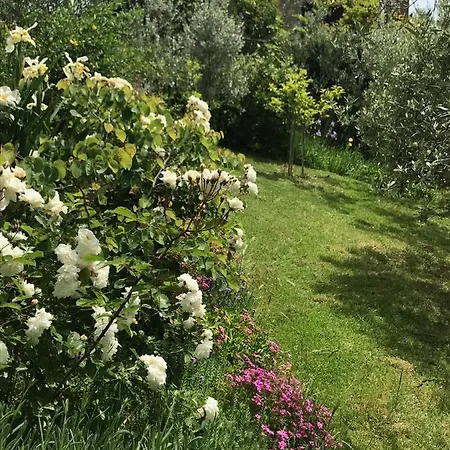 Podere Casallorto 度假居