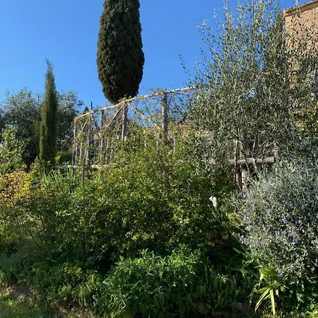 Podere Casallorto 度假居 渥尔特拉